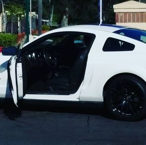 Meet your Posher, Steven